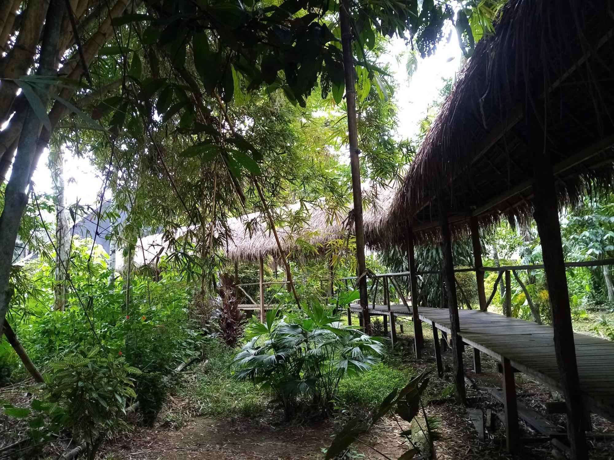 Inotawa Lodge Tambopata Exteriör bild